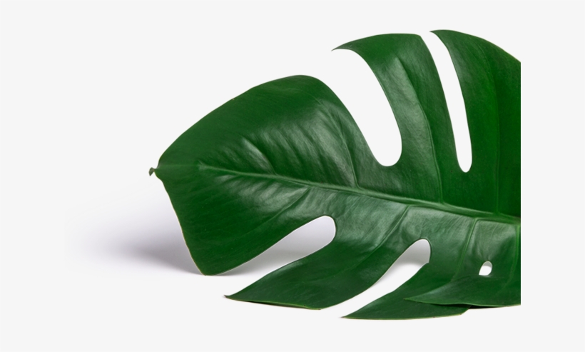 Toggle Navigation - Survival Kit - Set Of 8 Bachelorette Label Stickers, transparent png download