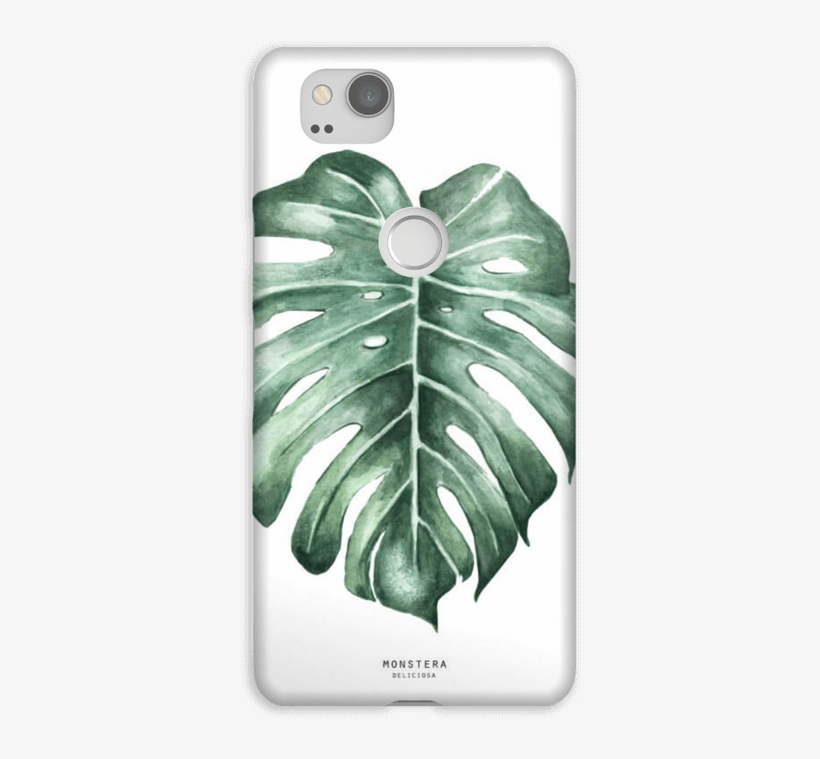 Monstera Deliciosa Case Pixel - Iphone 8 Skal Monstera, transparent png download