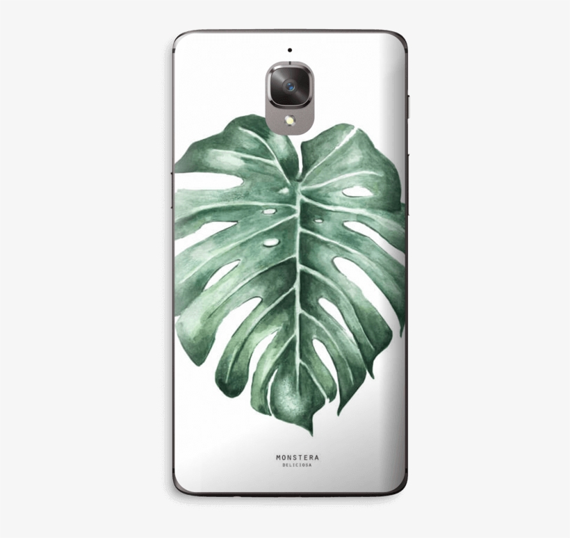 Monstera Deliciosa - Iphone 8 Skal Monstera, transparent png download