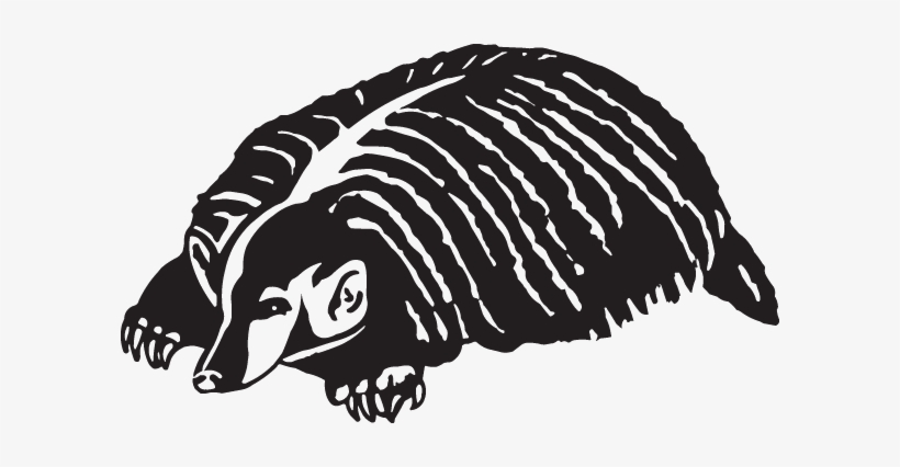 Insinkerator Badger 1 Garbage Disposal, transparent png download