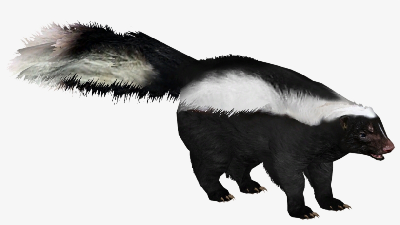 Striped Skunk 8 - Far Cry 5 Skunk PNG Image | Transparent PNG Free