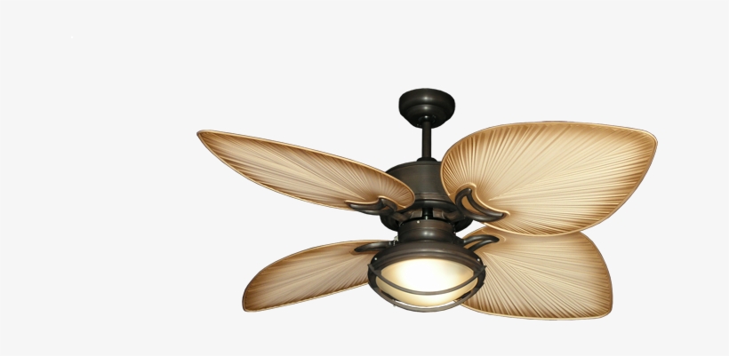 Artistic Tropical Ceiling Fans With Lights In Dan S - Outdoor Ceiling Fans Tropical, transparent png download