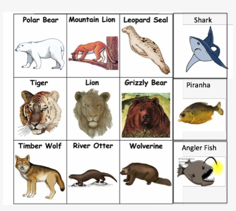 Finally - Nile Crocodile Trophic Levels, transparent png download