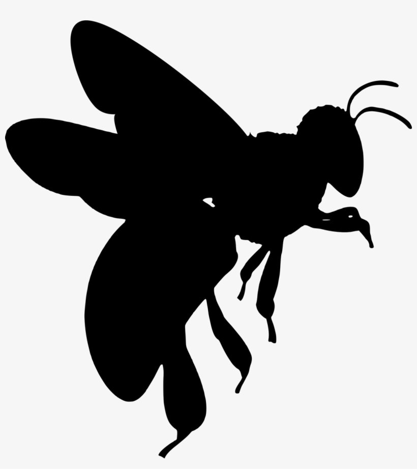 Silhouette Bee Wings - Bee Silhouette, transparent png download