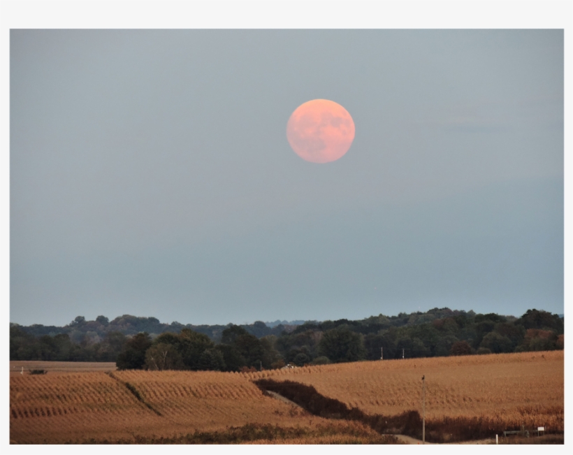 Wzzm 13 On Your Side On Twitter - Field, transparent png download