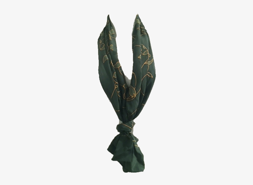 Agave, transparent png download