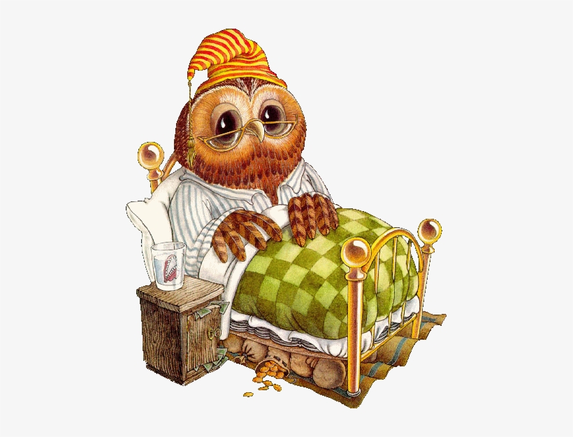 Owl In Bed - Dulces Suenos Con Buhos, transparent png download