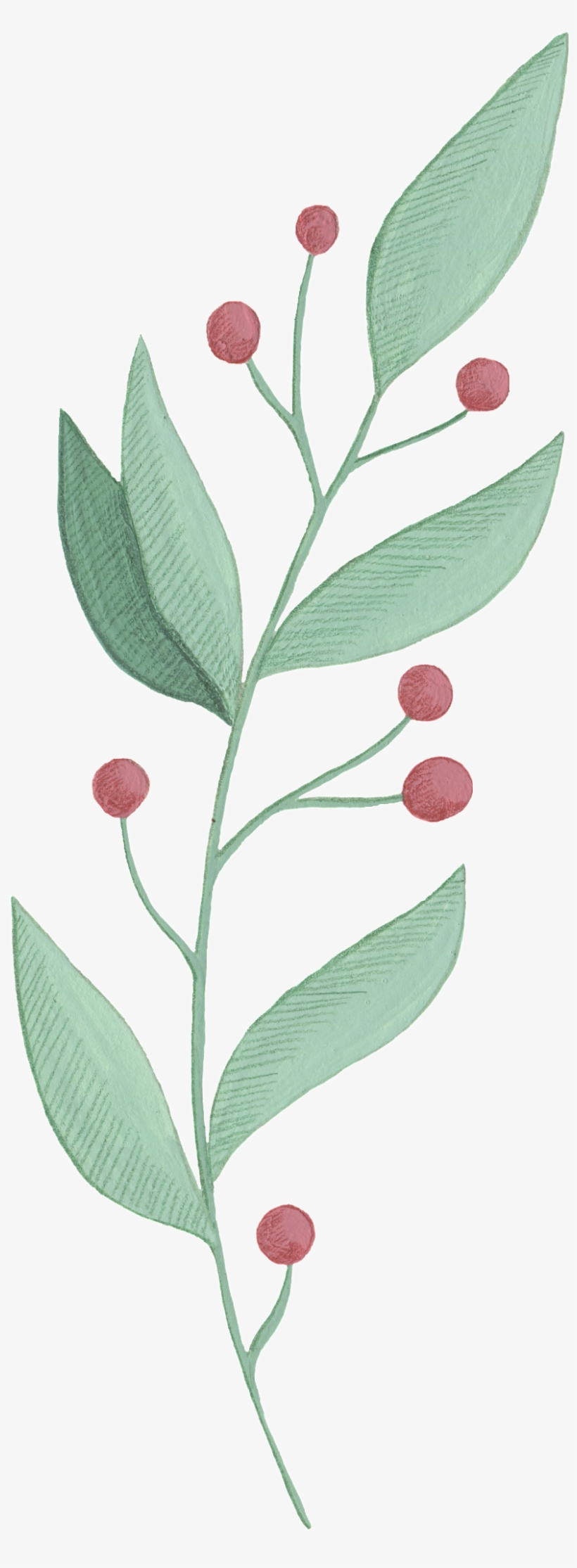 Cartoon Leaf Png Images - Portable Network Graphics, transparent png download