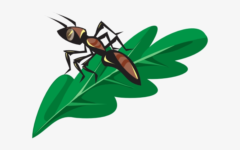 How To Set Use Brown Ant On A Leaf Svg Vector, transparent png download