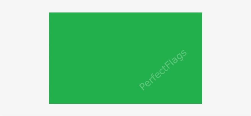 Plain Green Flag - Hot Girl Fridge, transparent png download