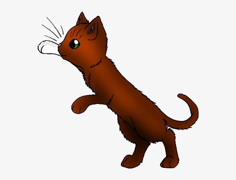 Squirrelpaw Entry - Brackenpaw Warriors, transparent png download