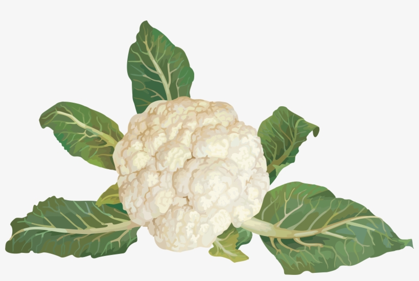 Vegetables Clip Art, transparent png download