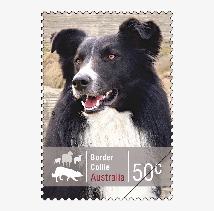 Favourite Stamp From - Border Collie, transparent png download