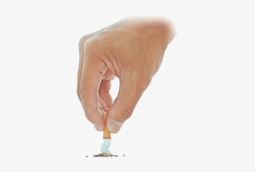 Are You A Medical Professional Or Education Professional - Stop Smoking Naturally: Best Tips, transparent png download
