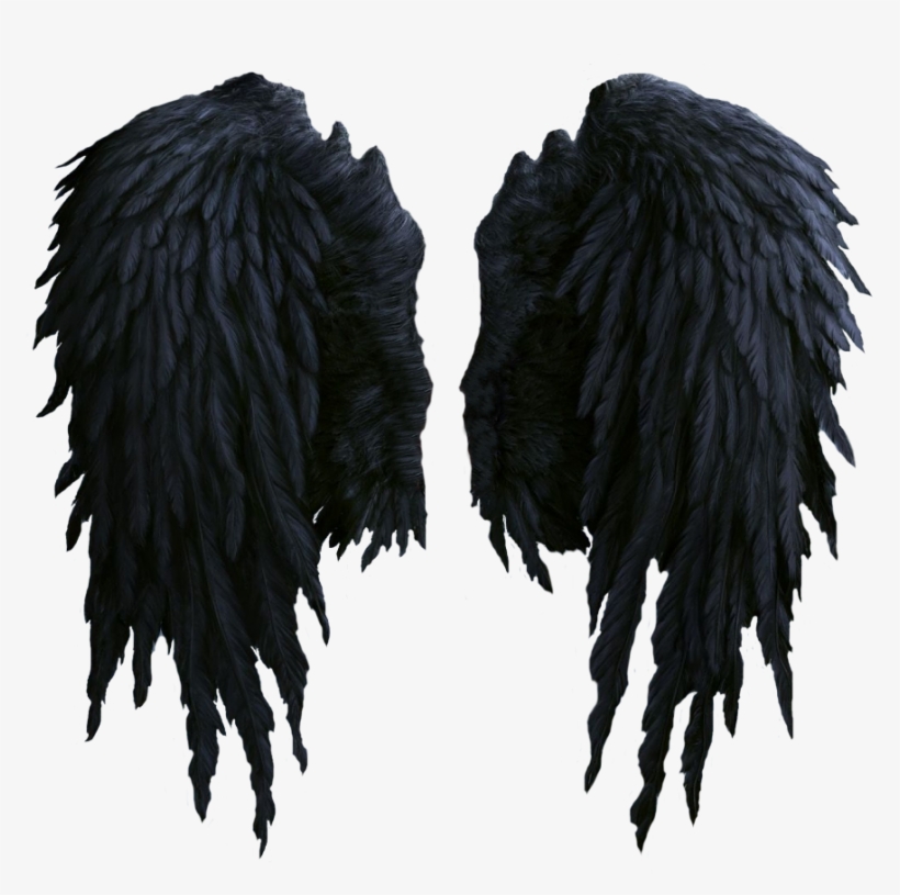 Black Angel Wings Png, transparent png download