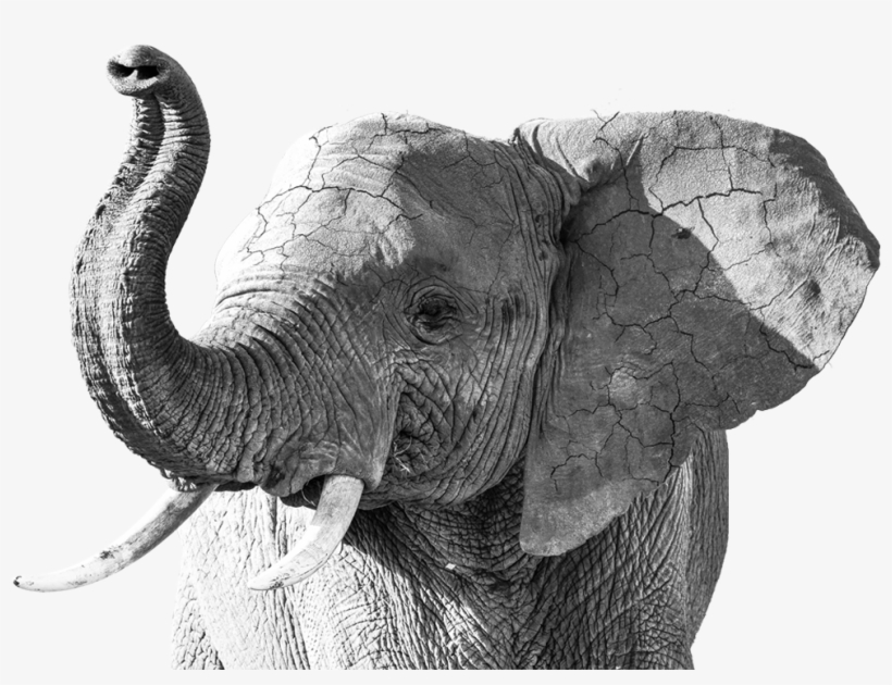 Revisa Tu Correo Y Asegúrate De Tener La Confirmación - Aptitude, transparent png download