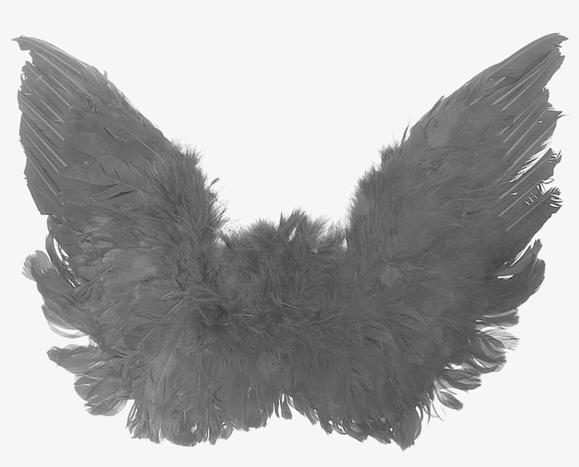 Black Angel Wings Png High-quality Image - Free Black Angel Wings, transparent png download