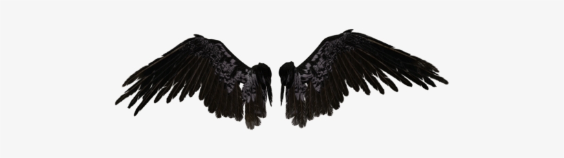 Angel Wings Png Pic - Black Angel Wings Transparent, transparent png download