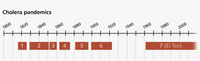 A - Cholera Pandemics Timeline, transparent png download