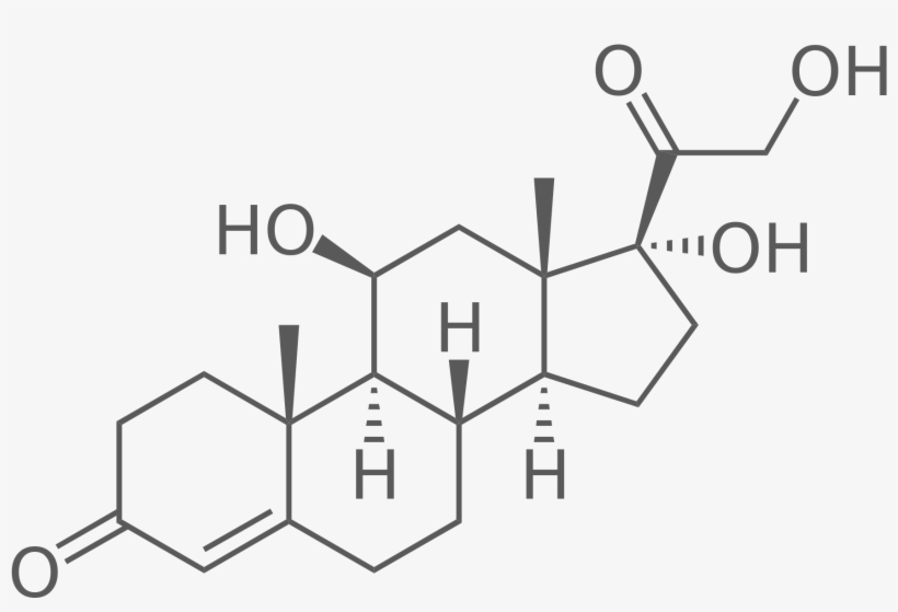 Saliva Analyses - Cortisol Chemical Structure, transparent png download