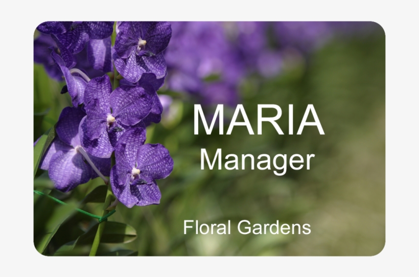 Large Name Tag 3" X 2" - Metal, transparent png download