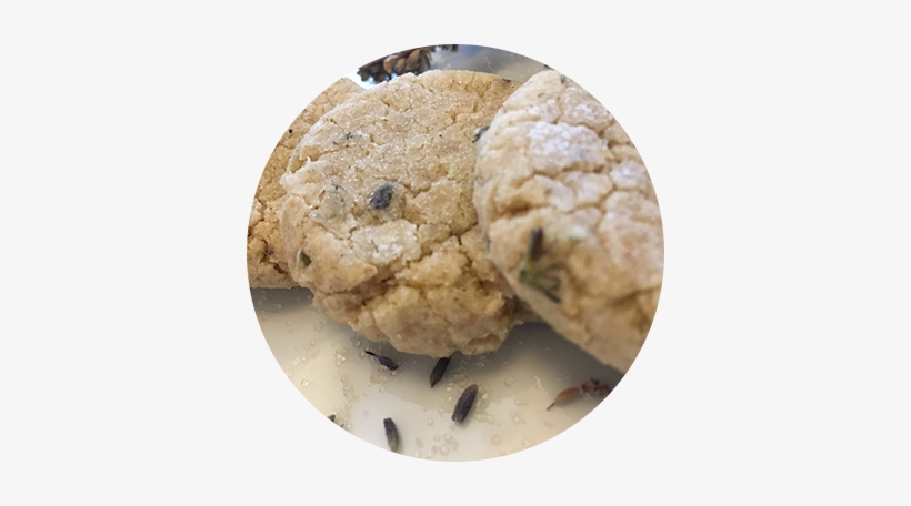 Cookies - Peanut Butter Cookie, transparent png download