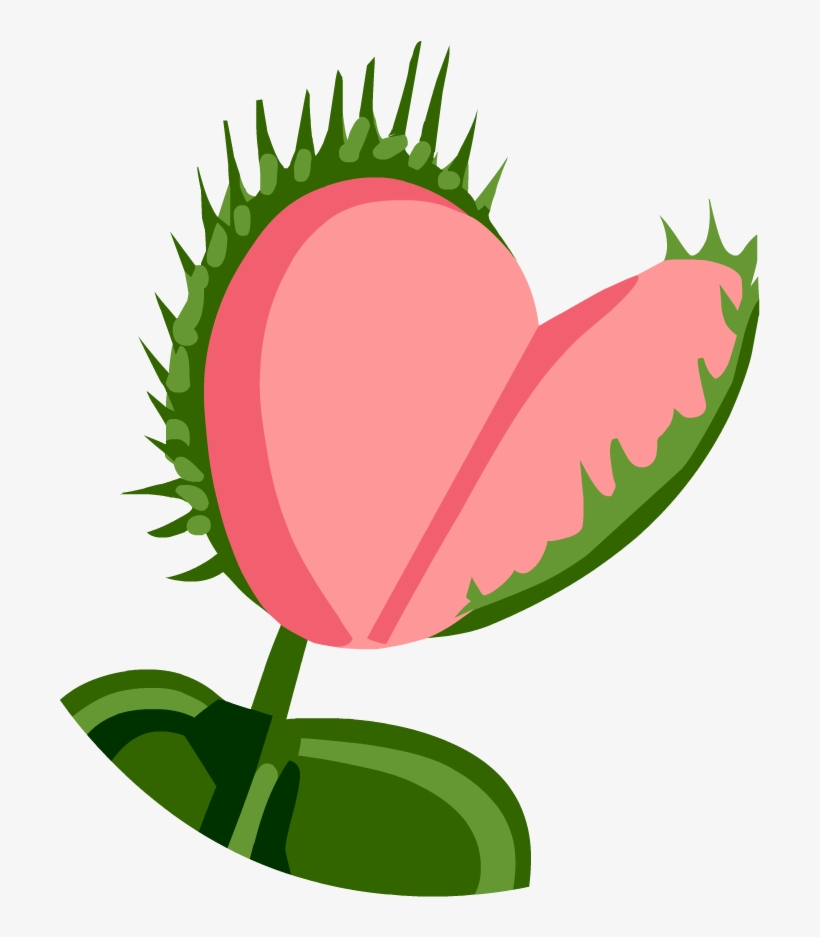 Carnivorous Plants - Carnivorous Plants Images Png, transparent png download