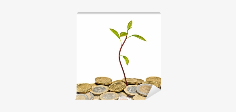 Avocado Seedling Growing From Pile Of Coins Wall Mural - Money Clipart, transparent png download