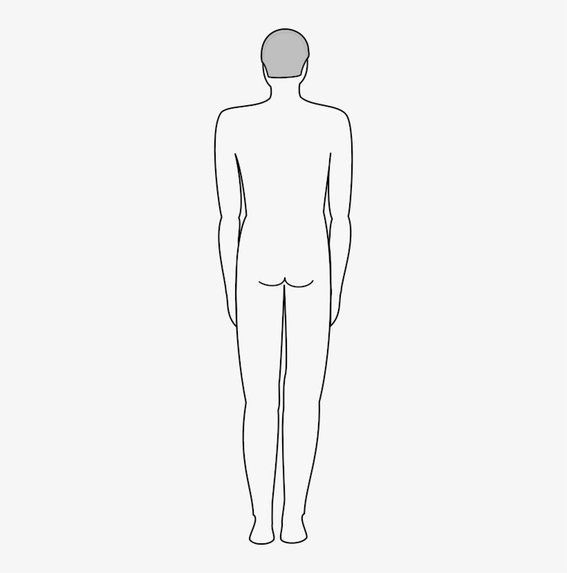 Medium Image - Film, transparent png download