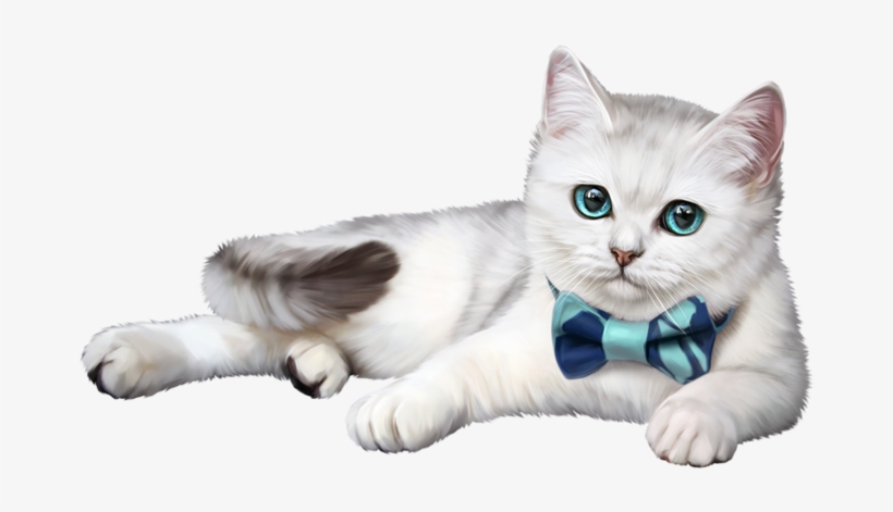 Fotografía Animal, Arte Sobre Gatos, Gatos Lindos, - Ты Прекрасна, transparent png download