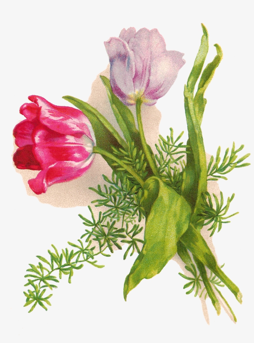 Pin By Kamala On Vingtage Flowers Clipart - Flower, transparent png download