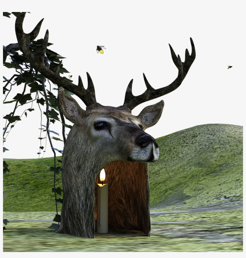 Yükle Vector Watercolor Deer, Deer, Watercolor, Antlers - Deer, transparent png download