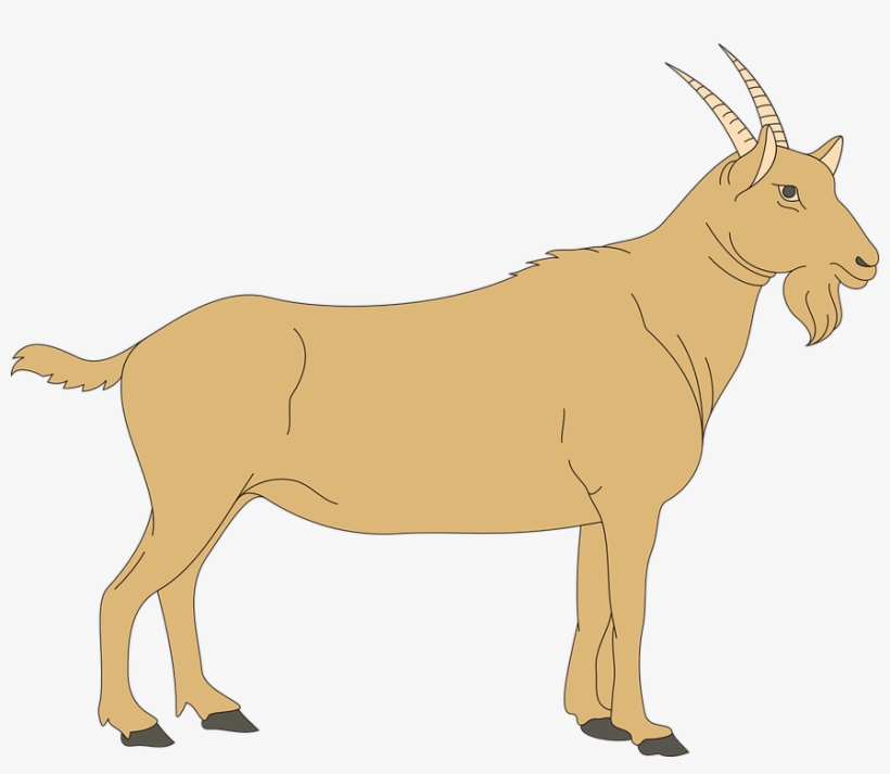 Brown Goat Svg Clip Arts 600 X 493 Px, transparent png download
