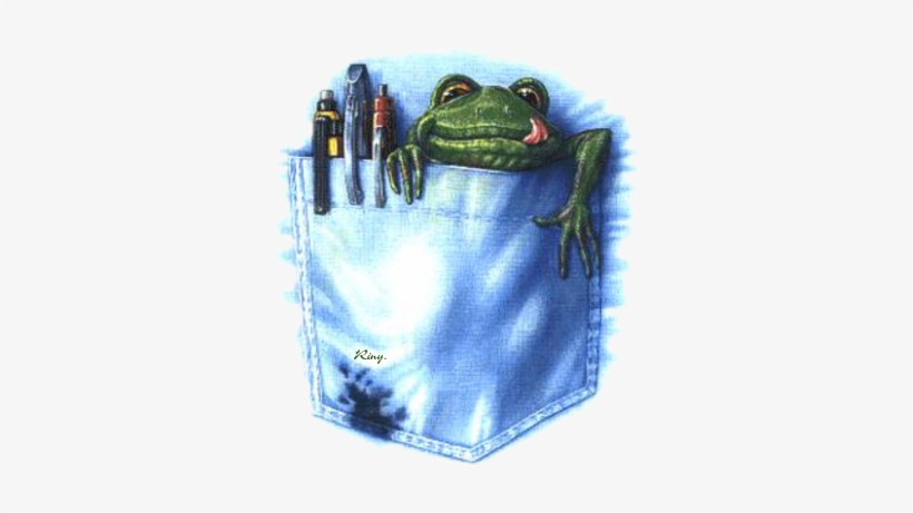 Frog In A Pocket, transparent png download