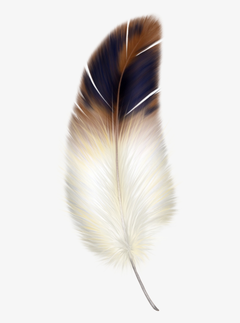 Brown And White Feather, transparent png download
