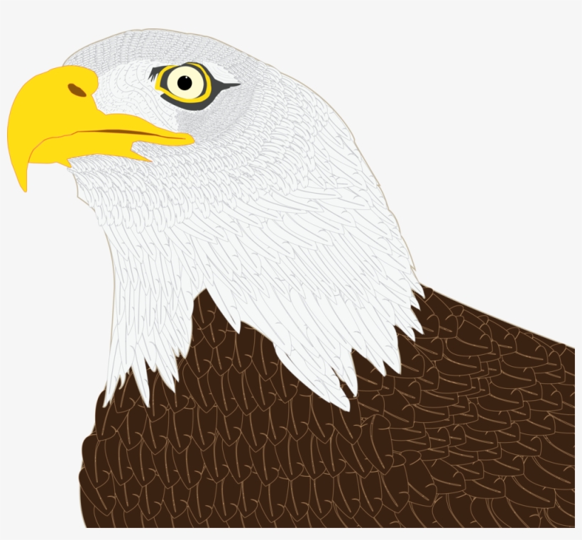 Eagle - Portable Network Graphics, transparent png download