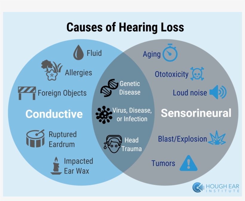 Causes Of Hearing Loss, transparent png download