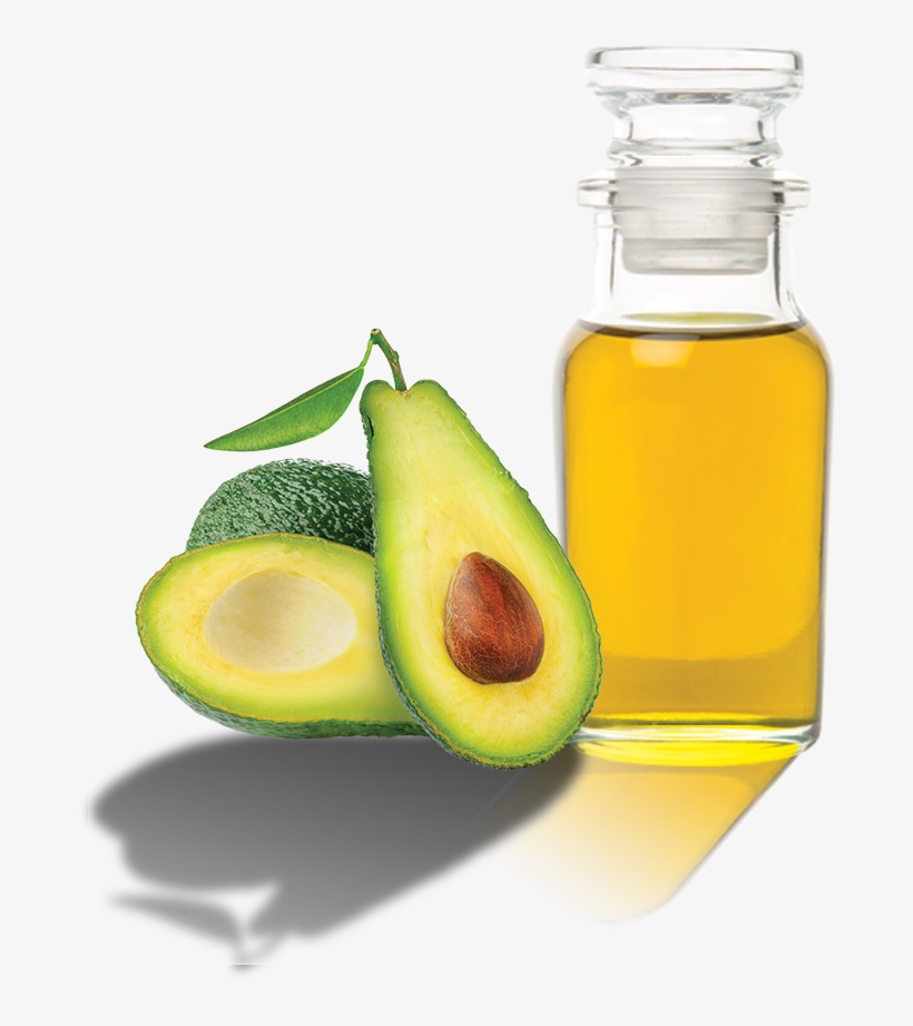 Vector Freeuse Grupo Madivi - Avocado Oil Logo Png, transparent png download