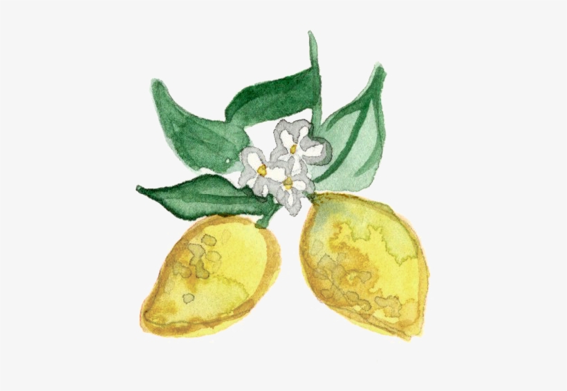 Lemons - Lily Of The Valley, transparent png download