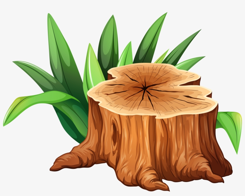 Tree Trunk Tree Stump Clipart Clipart Of Tree Branches Png Image Transparent Png Free Download On Seekpng
