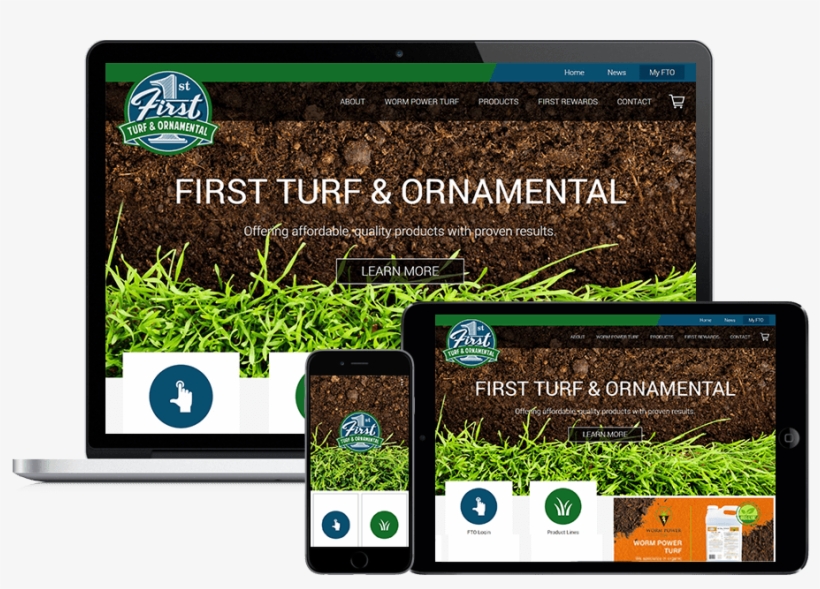 Grass, transparent png download