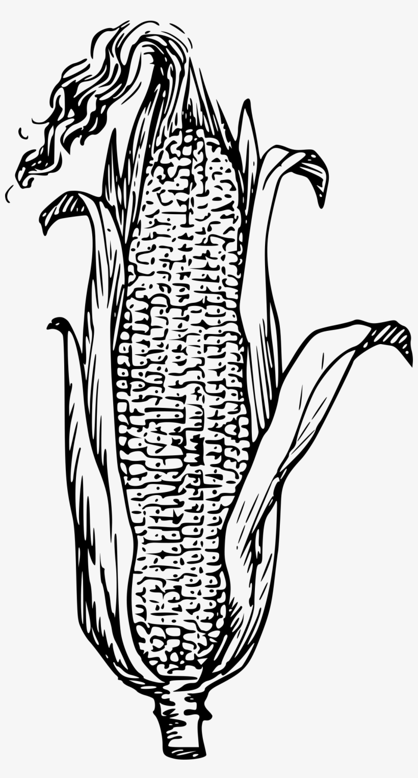How To Set Use Corn Svg Vector, transparent png download