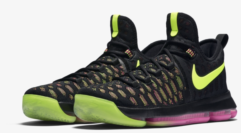 843392 999 E Prem Rectangle - Birds Of Paradise Kd, transparent png download