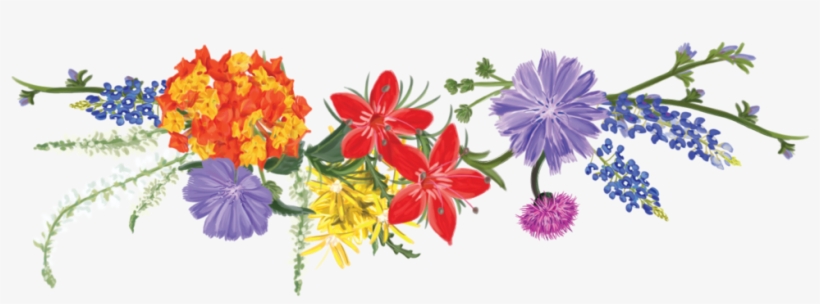 Texas Vodka Be Free Drink - Clip Art, transparent png download