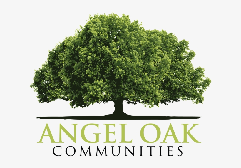 Angel Oak Communities - Gambel Oak, transparent png download