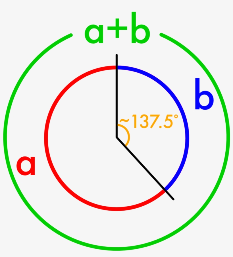 Golden Angle Color - Circle, transparent png download