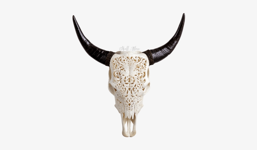 Carved Cow Skull // Xl Horns - Cow Skull, transparent png download