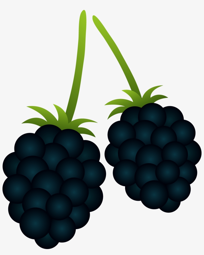 Two Blackberries Free Clip Art - Blackberries Clip Art, transparent png download