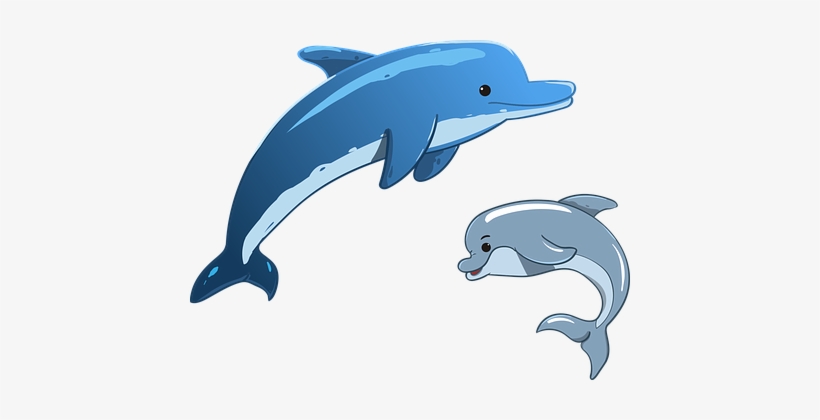 Dolphin Sea Animals Mother And Child Cartoon Dolphin Png Image Transparent Png Free Download On Seekpng