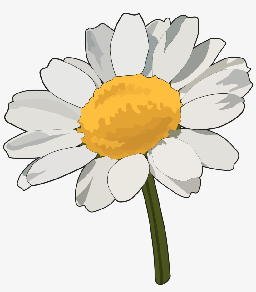 Margarita - Margaritas Blancas Para Dibujar, transparent png download